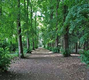 Allee im Julianenpark