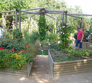 Hier beginnt der Gemüse- & Kräutergarten