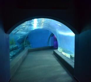 Siam Ocean World