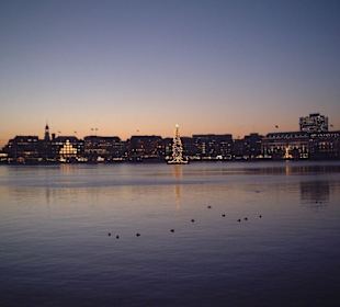 Alster mit Christbaum