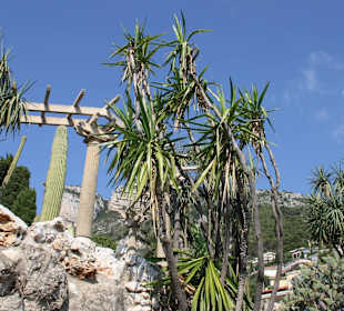 Jardin dÉxotique - Monaco