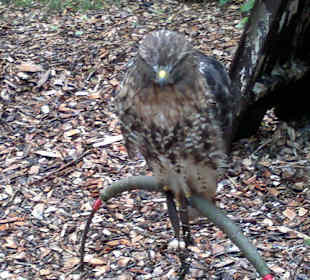 Zoo Olomouc