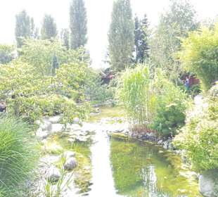 Von ganz hinten aufgenommen