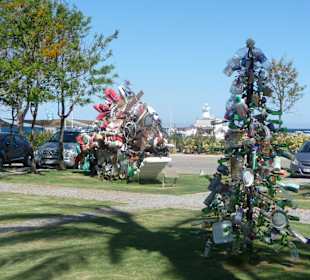 D-Marin Turgutreis...