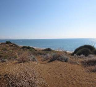 Dünen oberhalb des Strandes