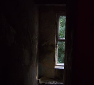 Zakład dla Nerwowo i Psychicznie Chorych Żydów Zofiówka