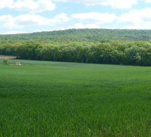 Ausblick während der Wanderung