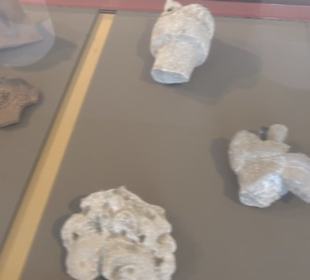 Museum für Ur- und Frühgeschichte