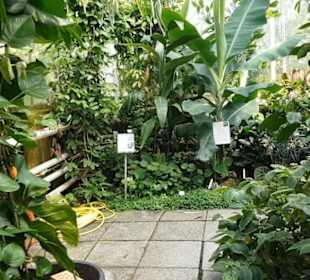 Botanischer Garten