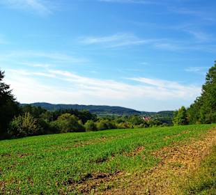 Das Affalterthal Sept. 2012