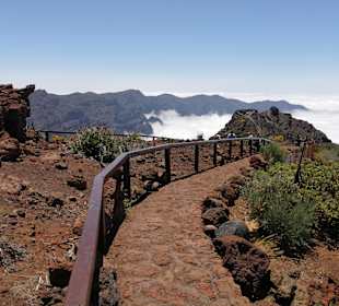 Wandern Los Cancajos