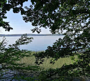 Wandern Groß Nemerow