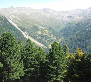 Almgasthaus Boscheben