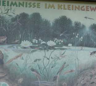 Kurpark Bad Niedernau