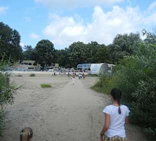 Beach Club La Playa an der Weichsel