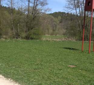 Sculptoura Woodwatcher