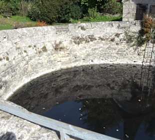 Rossbrunnen Lonsingen