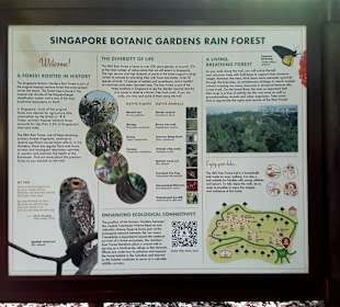 Botanischer Garten