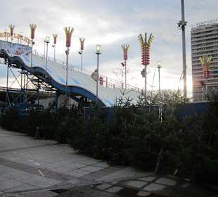 Weihnachtsmarkt Ludwigshafen