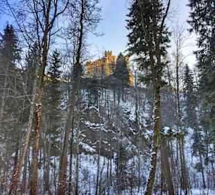Schloss Hohenschwangau