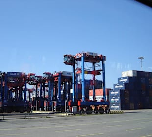 Hamburg - Auge in Auge mit den Giganten