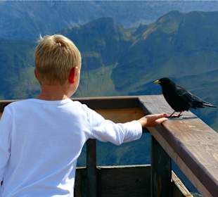 Kontaktversuch am Nebelhorn