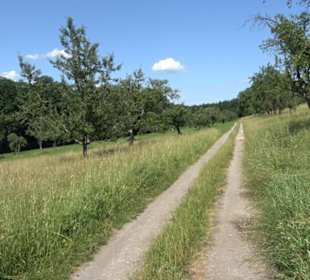 Eduard Lucas Musterobstgarten Mähringen