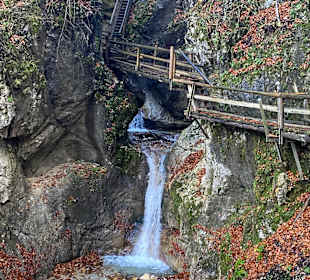 Dr. Vogelgesang-Klamm