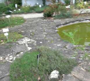 Apothekergarten