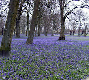 Im Schloßgarten von Husum.