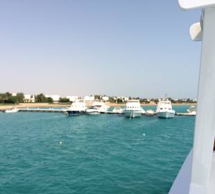 Dolphine House Tour El Gouna