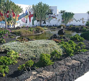 Der Garten von Cesar Manrique.