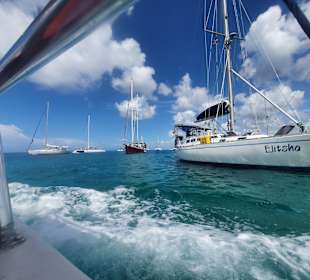 Isla Saona