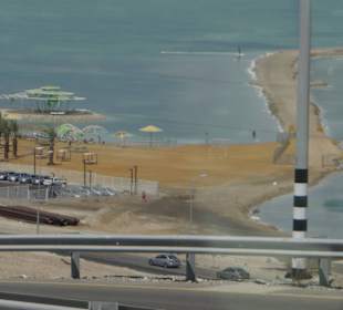 Już widać oleistość