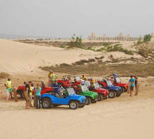 Buggy Tour