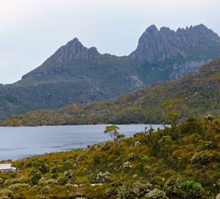 Cradle Mountain-Lake St.Clair NP - Cradle Mountain