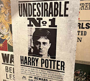 Harry Potter New York Store