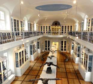 Naturkunde-Museum Bamberg