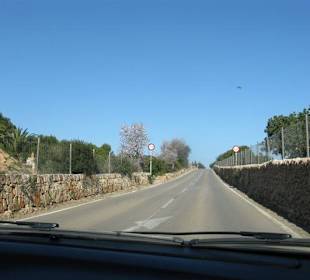 Landschaft im Februar