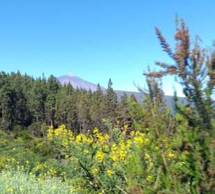  Parque Nacional del Teide