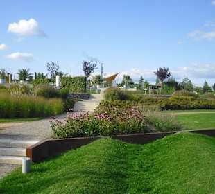 Neulandpark im Herbst