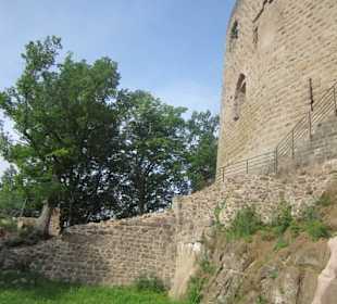  Burgruine Spesburg