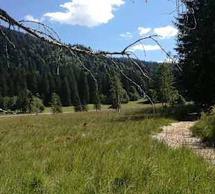 Wandern Balderschwang