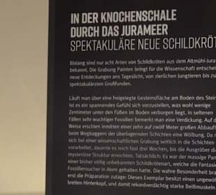 Dinosaurier Museum Altmühltal