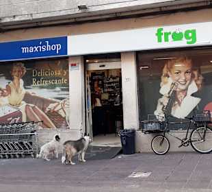 Stadtrundgang Montevideo