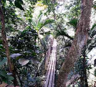 Hängebrücke