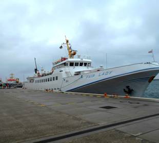 MS Fair Lady 