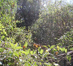 Unterwegs auf den Wanderwegen