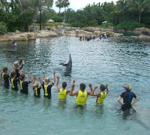 Der Freund aller Kinder