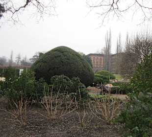 Breslauer Altstadt Botanischer Garten